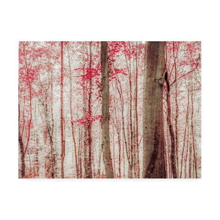 Brooke T. Ryan 'Pink & Brown Fantasy Forest' Canvas Art,35x47